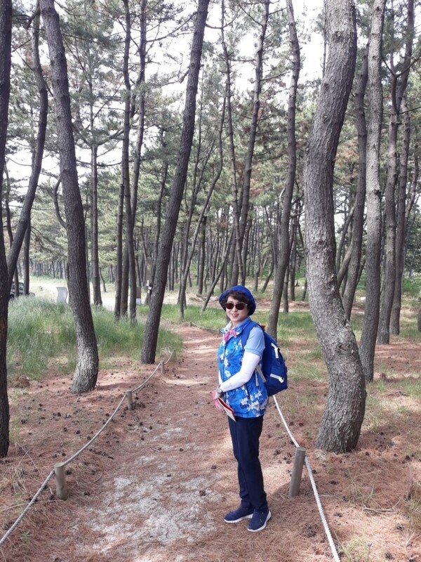 느리게 보고 느리게걷고 즐거운 체험 9