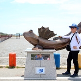 증도 호핑투어 완주인증