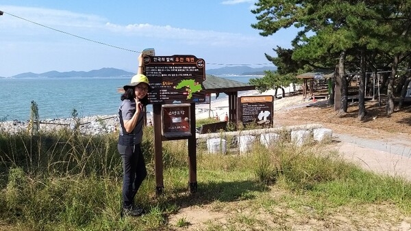 증도호핑투어 5