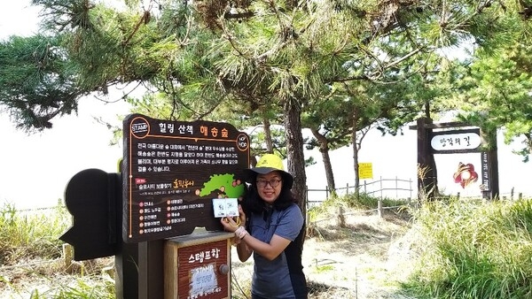 증도호핑투어 6