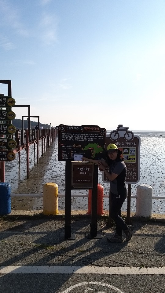 증도호핑투어 8