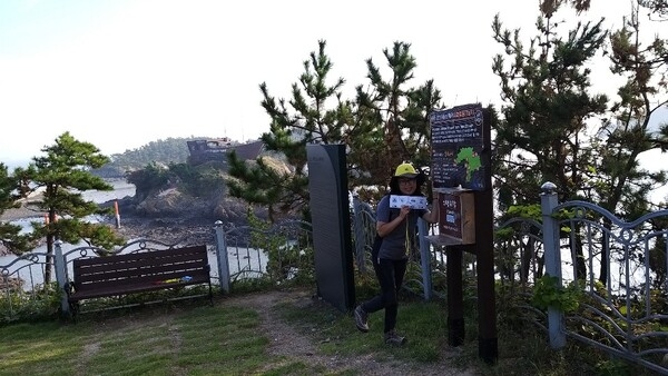 증도호핑투어 9