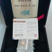 신안증도 호핑투어 황금돼지 당첨 후기