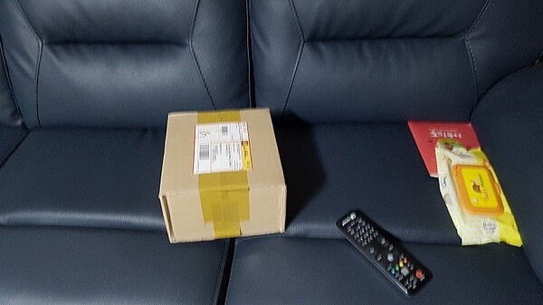 황금돼지 왔습니다 고오맙습니다!! 2