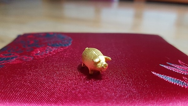 황금돼지 왔습니다 고오맙습니다!! 5