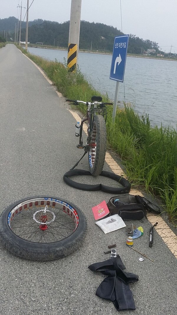 황금돼지 왔습니다 고오맙습니다!! 7