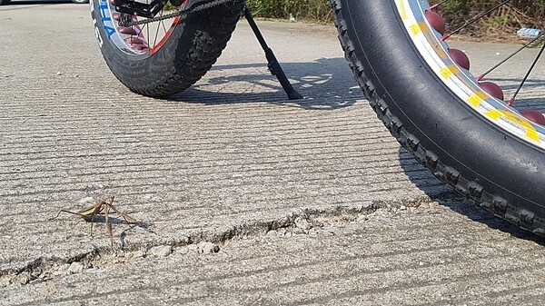 황금돼지 왔습니다 고오맙습니다!! 1