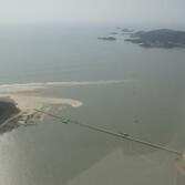 증도 갯벌체험목교 사진