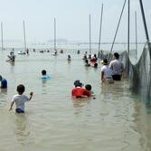 제1회 섬.갯벌 올림픽 축제 
