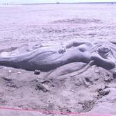 제1회 섬.갯벌 올림픽 축제 