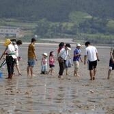 제1회 섬.갯벌 올림픽 축제 