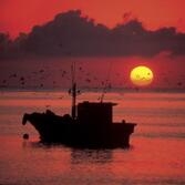 신안의 해넘이 및 해맞이 명소.. 