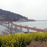 안좌갯벌생태학습장