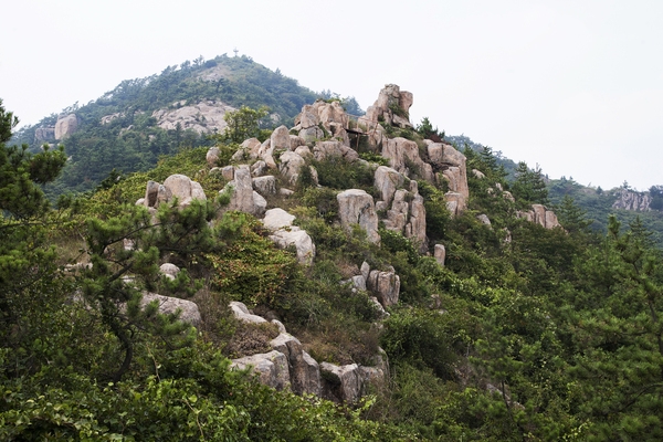 암태 승봉산 등산로 1