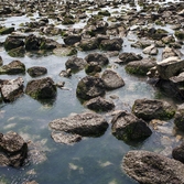 자은도  둔장해변