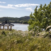 하의도 인동초해변 펜션