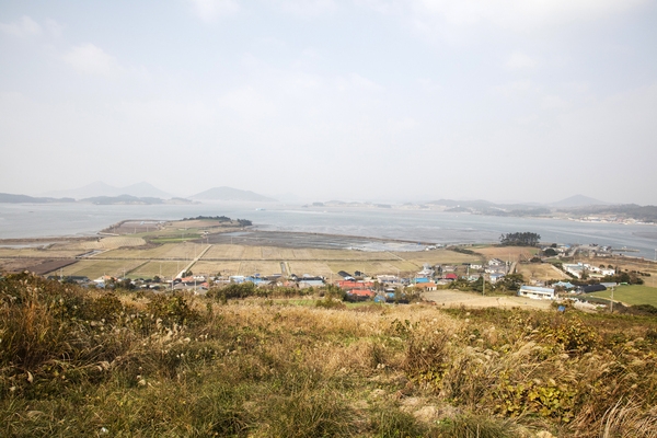 안좌 자라도 망회산생태숲전망대 6