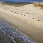 증도 우전해변 비치파라솔