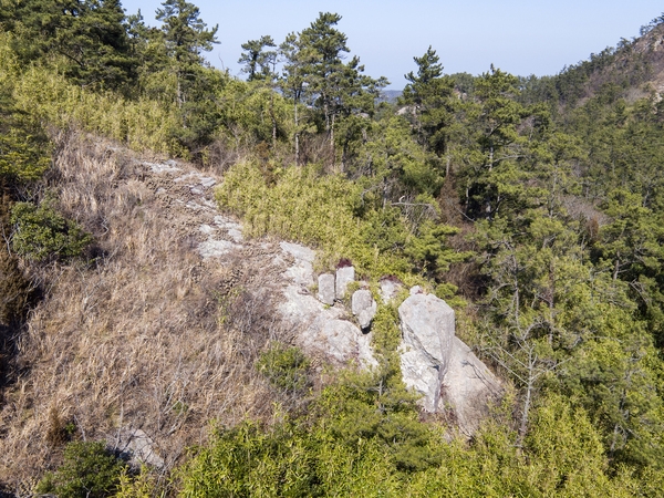 비금 죽치마을선왕산등산로 4