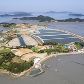 사치도 드론전경001