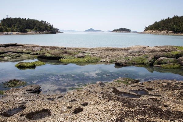 장산 백야도해변 2