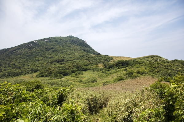 흑산면 장도습지 001 1