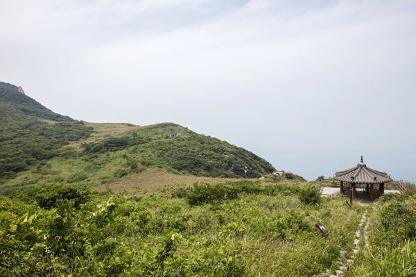 흑산면 장도습지전망대 3