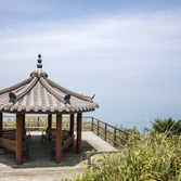 흑산면 장도습지전망대