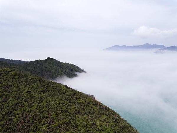 흑산면 영산도에서 본 흑산도 4