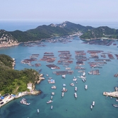 흑산면 다물도에서 본 대둔도방면 가두리양식