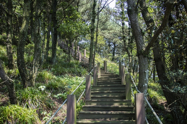 흑산 만재도 마구산등산로 3