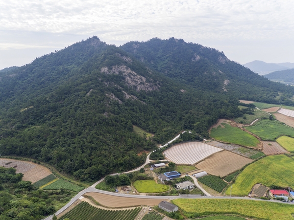 장산면 한새골장산갯벌 2