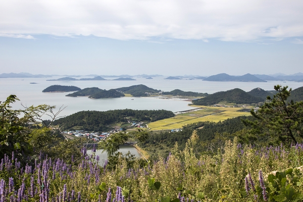 장산 대성산성 2