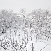 압해 눈오는 압해풍경
