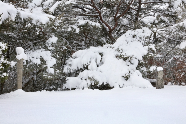 압해 설경풍경 압해정씨 금성군묘 6