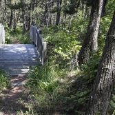 자은면 백길해변 수림대 생태공원