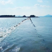 증도면 화도노두길