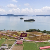 증도면 병풍도 003