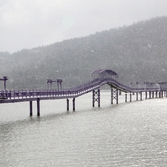 안좌면 퍼플섬 퍼플교