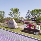 팔금면 철쭉공원 002