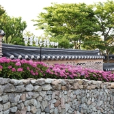 도초면 수국공원