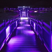 안좌면 퍼플교야경