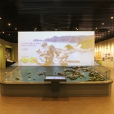 자은도 1004뮤지엄파크 갯벌생태전시관