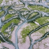 증도면 병풍도갯벌