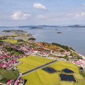 증도면 병풍도 맨드라미 003