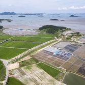 하의도 한반도 평화의 숲