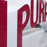 안좌면 눈 오는 날 퍼플섬