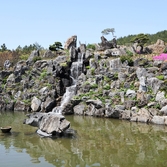 압해읍  분재공원 002