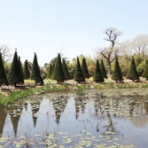 압해읍  분재공원 003