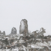 자은면 눈 오는 날 1004 뮤지엄파크 001